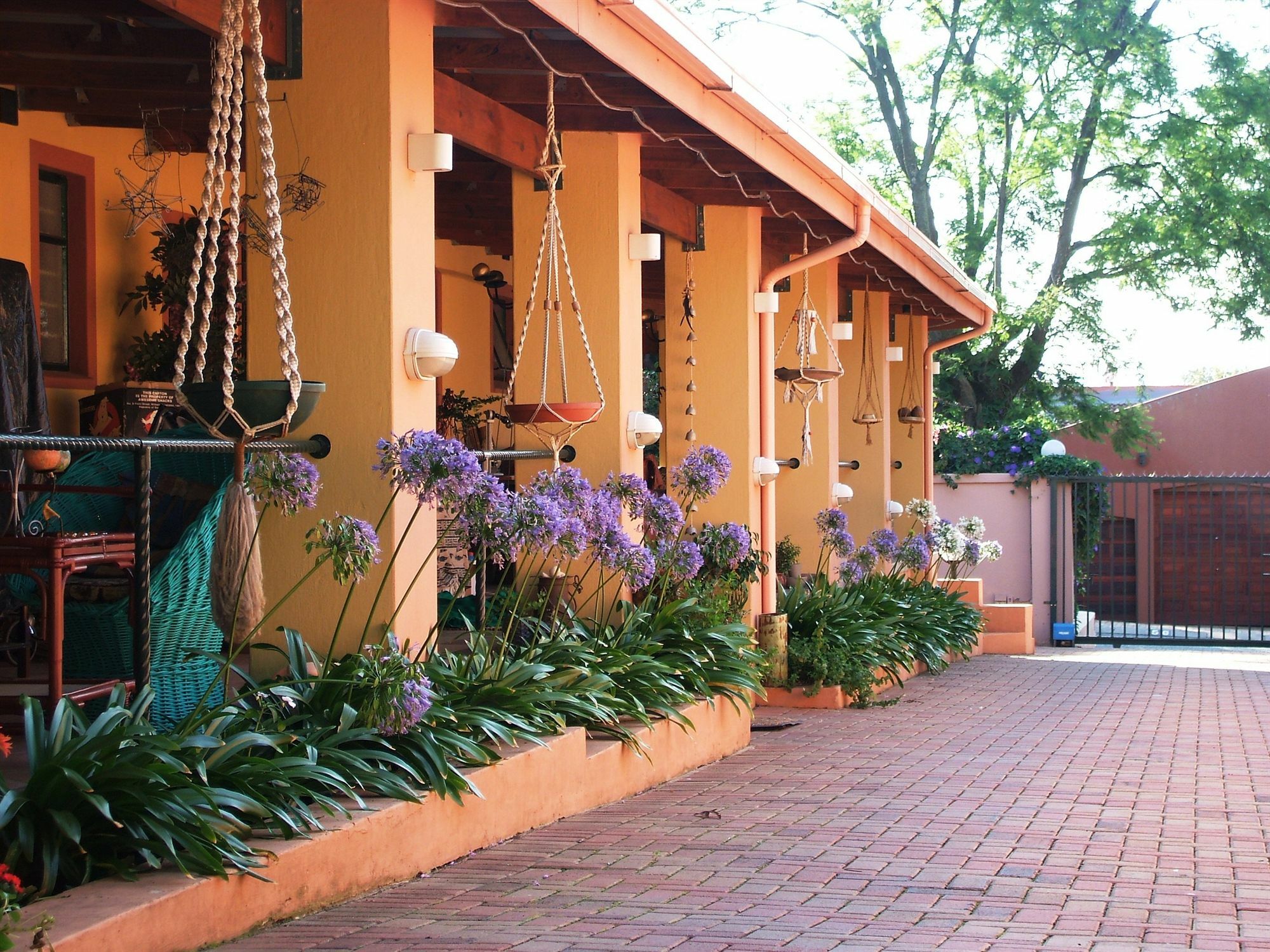 Cherry Tree Cottage B&B Linden Йоганнесбурґ Екстер'єр фото